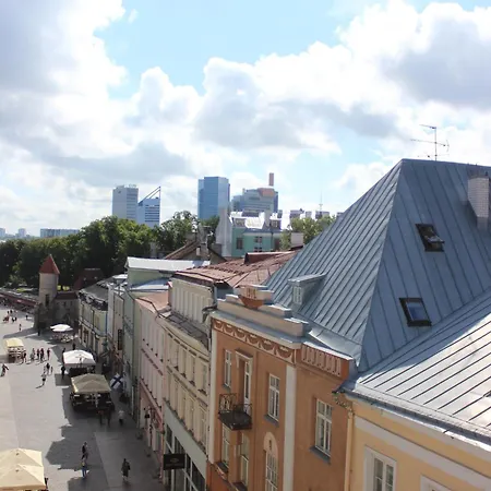 Viru Backpackers Auberge de jeunesse