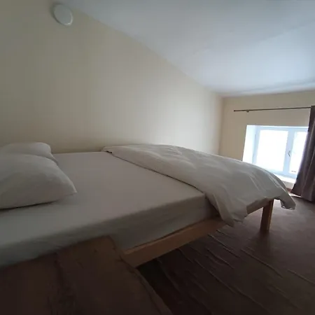 Viru Backpackers Ostello