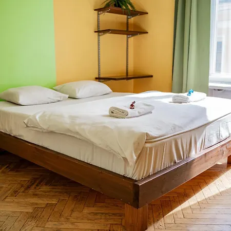 Viru Backpackers Ostello