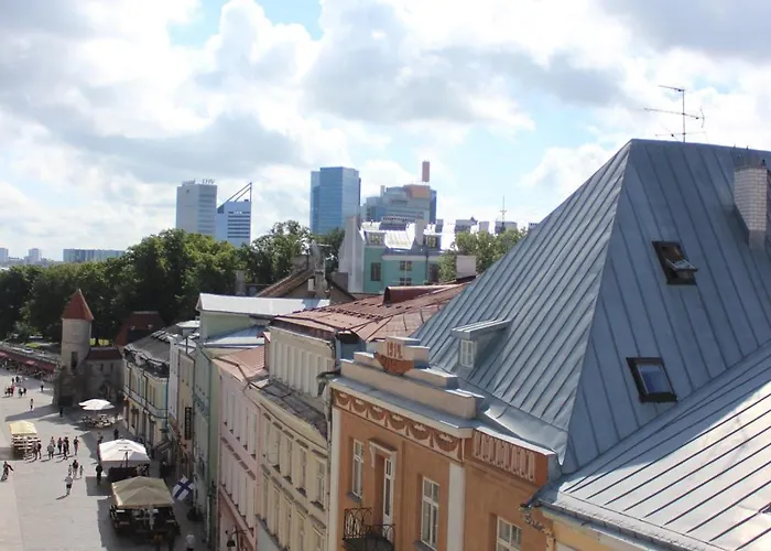 Viru Backpackers Ostello