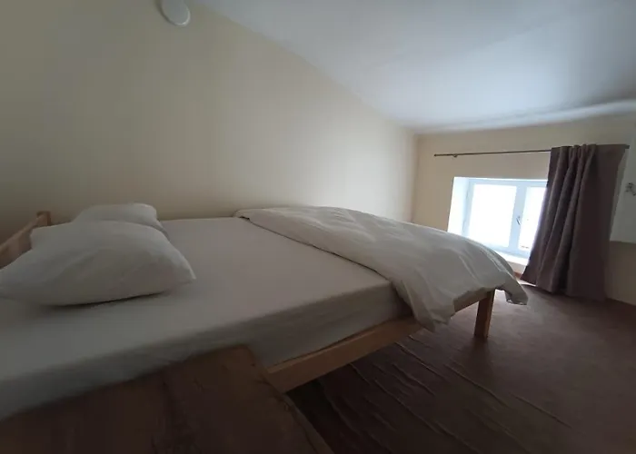 Viru Backpackers Ostello