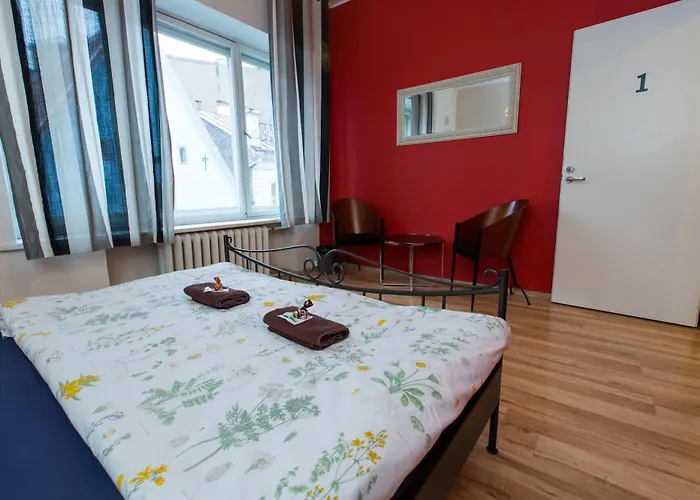 Viru Backpackers Ostello