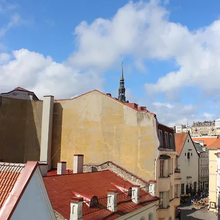 بيت شباب Viru Backpackers