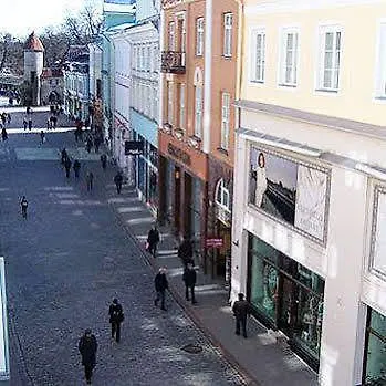 Viru Backpackers Albergue *