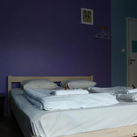 Hostel Viru Backpackers