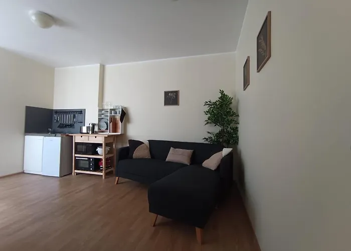 Hostel Viru Backpackers