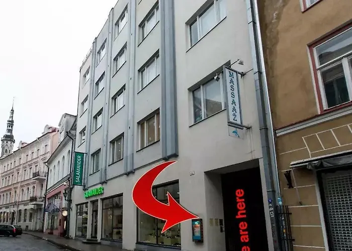 Viru Backpackers Hostel